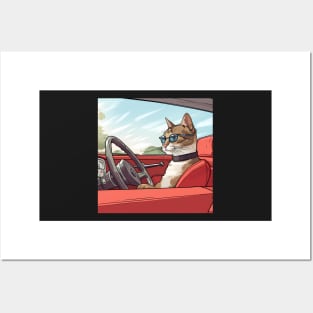 Cat Wearing Glasses Driving A Car Posters and Art